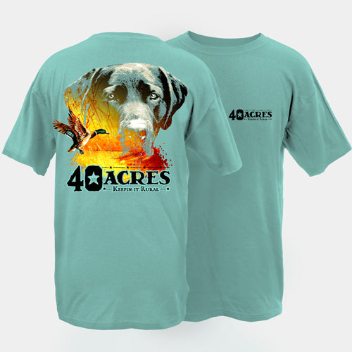 Fourty Acres Lab Duck Adult Short Sleeve T-Shirt