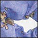 Peace Frogs Milk & Cookies Hairtie